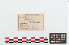 Etiketten zu Bronzespinnrocken (NHMW-PRAE-023972)
